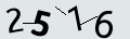 verifycode